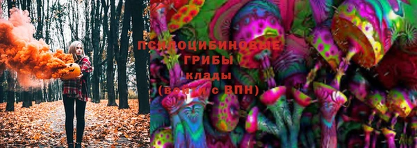ПСИЛОЦИБИНОВЫЕ ГРИБЫ Михайлов