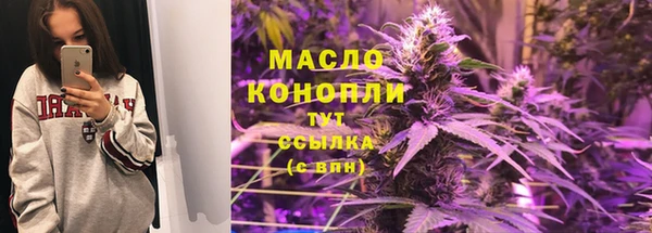 ПСИЛОЦИБИНОВЫЕ ГРИБЫ Михайлов