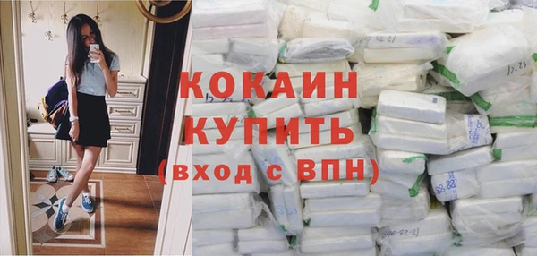 ПСИЛОЦИБИНОВЫЕ ГРИБЫ Михайлов